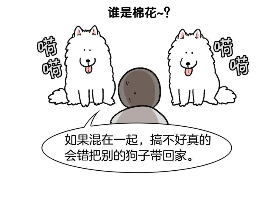 《我的狗子叫棉花》第48话 如有雷同，纯… 第54页