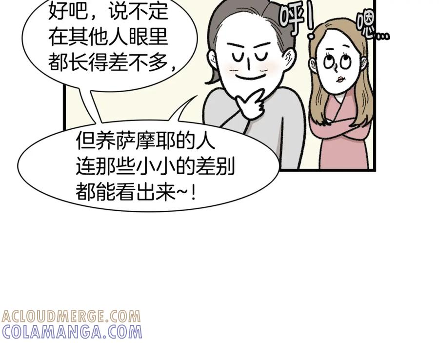 《我的狗子叫棉花》第48话 如有雷同，纯… 第49页