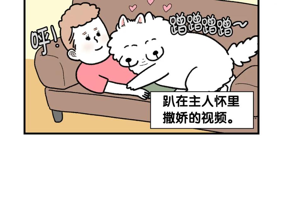 《我的狗子叫棉花》第48话 如有雷同，纯… 第6页