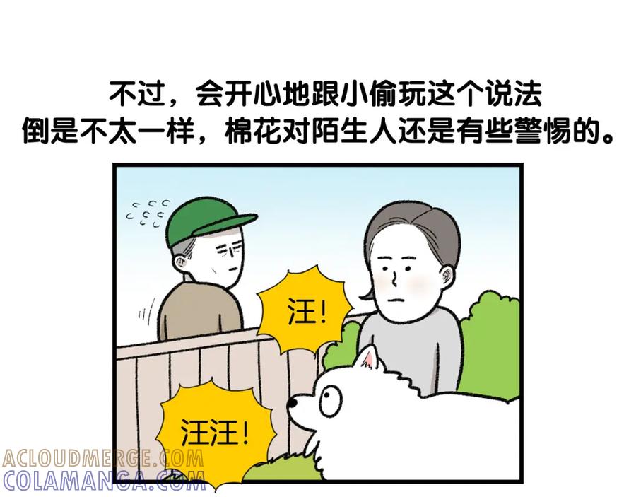 《我的狗子叫棉花》第48话 如有雷同，纯… 第64页