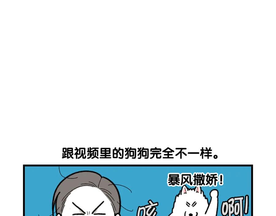 《我的狗子叫棉花》第48话 如有雷同，纯… 第12页