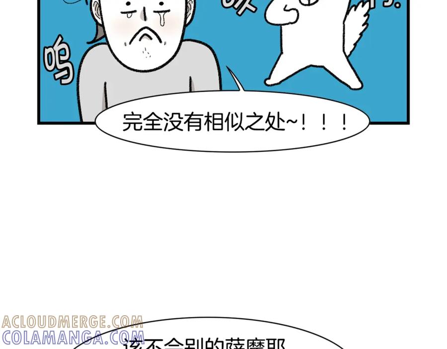 《我的狗子叫棉花》第48话 如有雷同，纯… 第13页