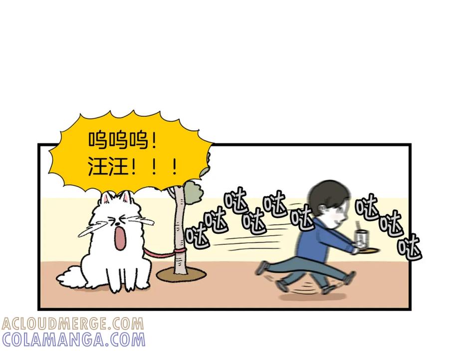 《我的狗子叫棉花》第48话 如有雷同，纯… 第40页