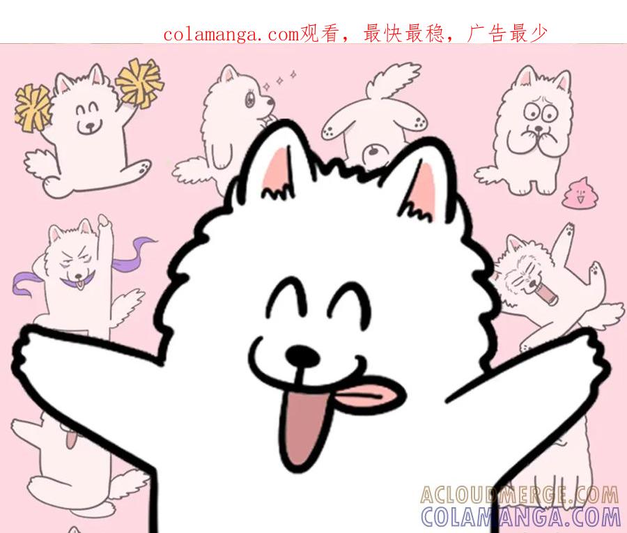 《我的狗子叫棉花》第48话 如有雷同，纯… 第1页