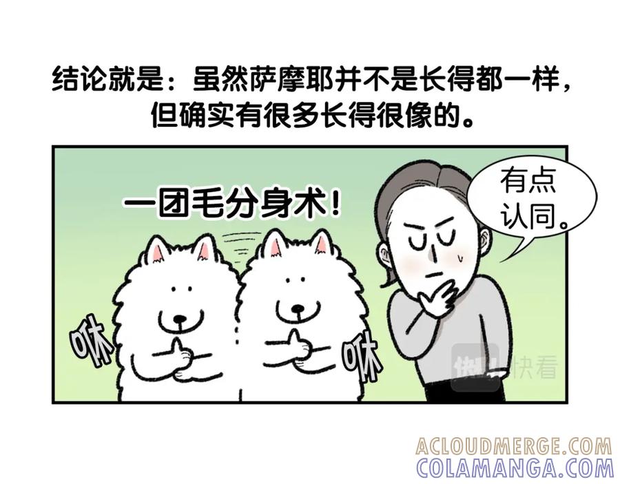 《我的狗子叫棉花》第48话 如有雷同，纯… 第58页