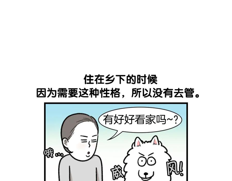 《我的狗子叫棉花》第48话 如有雷同，纯… 第65页