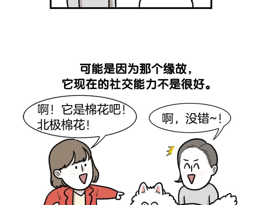 《我的狗子叫棉花》第48话 如有雷同，纯… 第66页