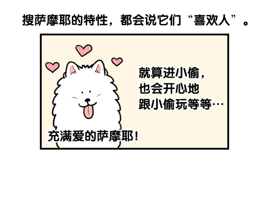 《我的狗子叫棉花》第48话 如有雷同，纯… 第60页