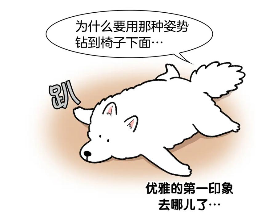 《我的狗子叫棉花》第48话 如有雷同，纯… 第33页
