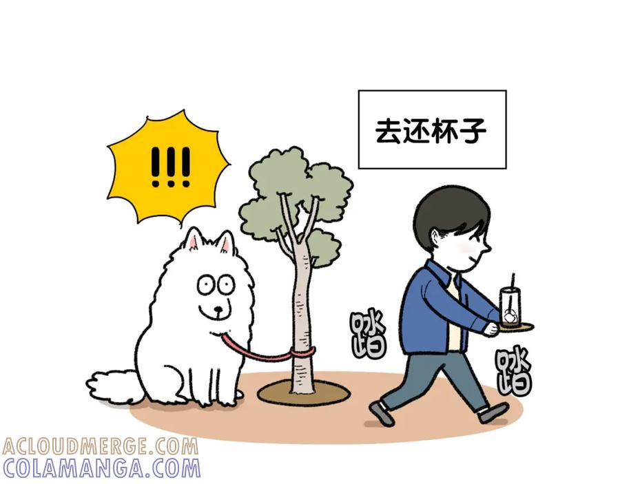 《我的狗子叫棉花》第48话 如有雷同，纯… 第37页