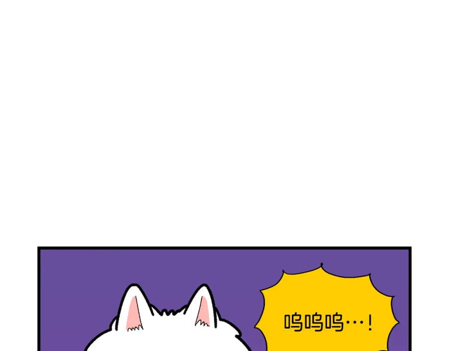 《我的狗子叫棉花》第48话 如有雷同，纯… 第38页