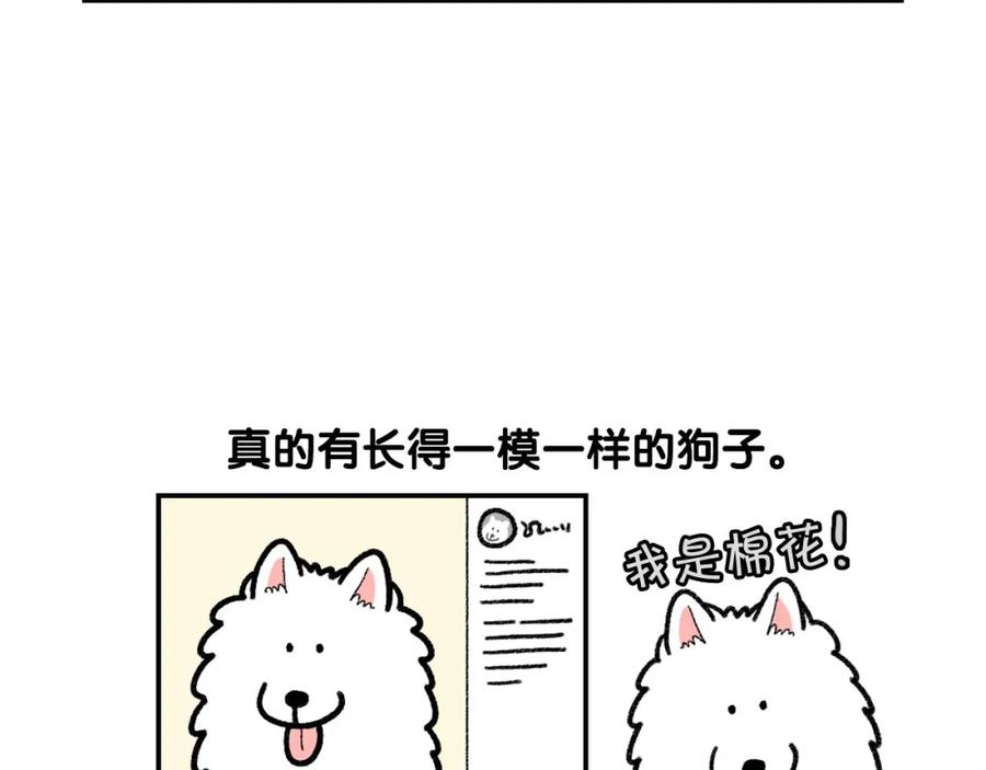 《我的狗子叫棉花》第48话 如有雷同，纯… 第51页