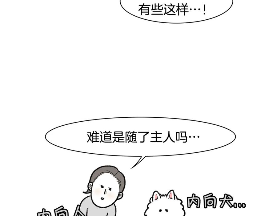 《我的狗子叫棉花》第48话 如有雷同，纯… 第72页