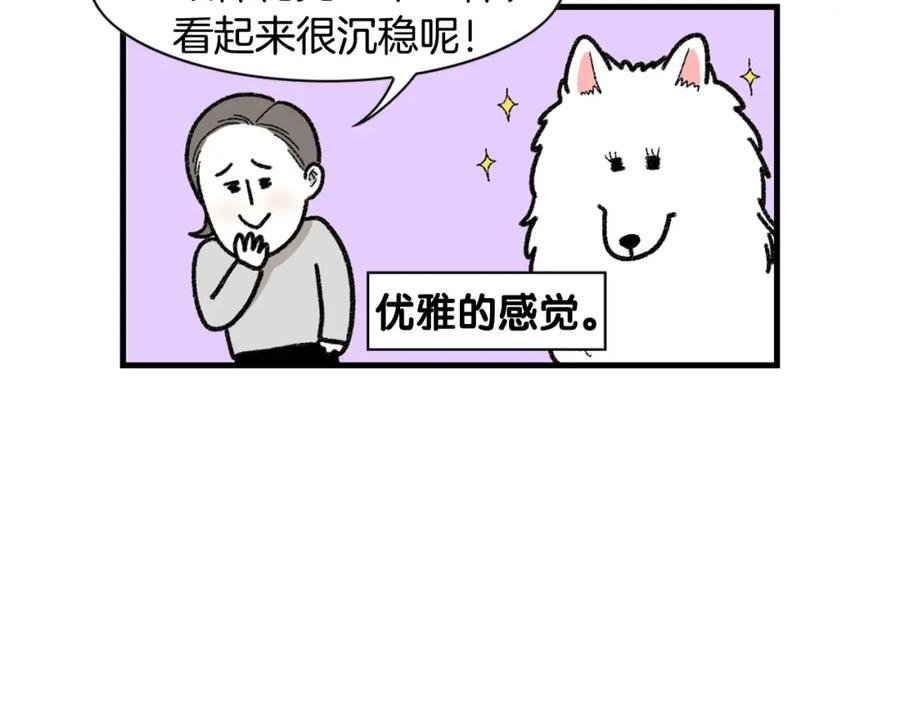 《我的狗子叫棉花》第48话 如有雷同，纯… 第20页