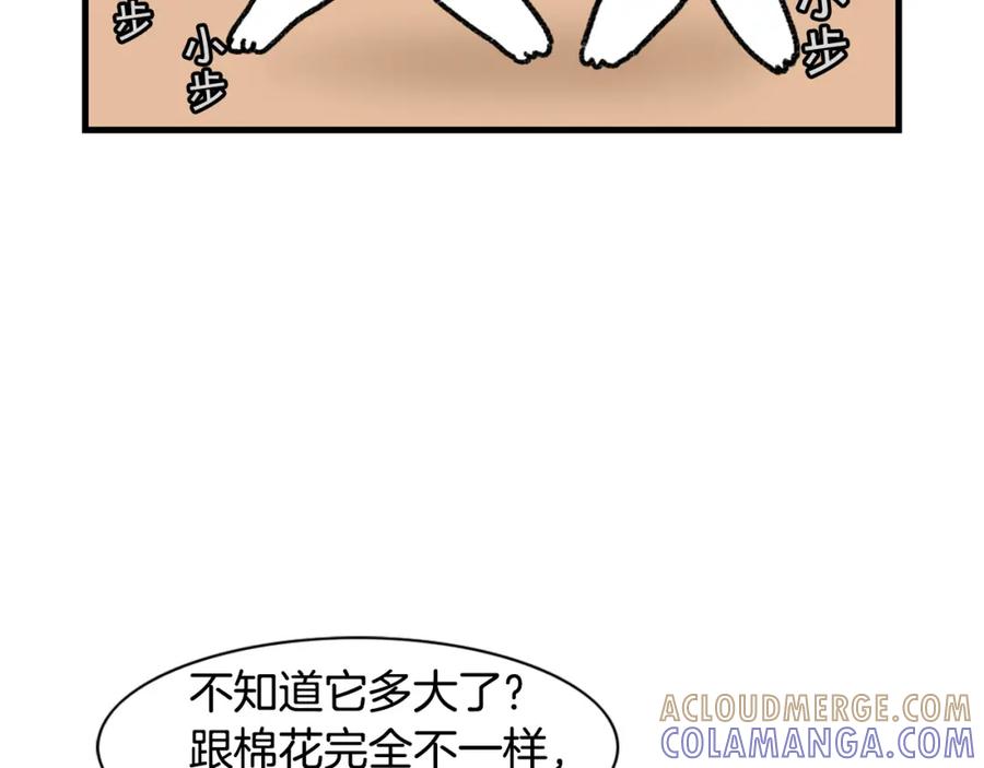 《我的狗子叫棉花》第48话 如有雷同，纯… 第19页