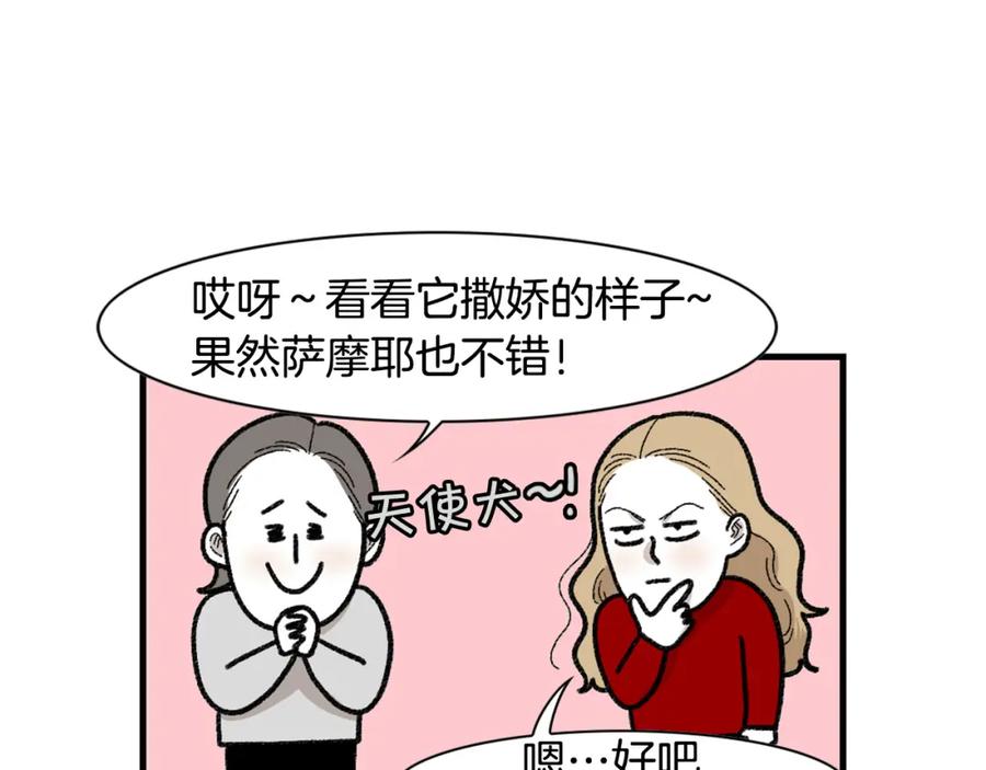 《我的狗子叫棉花》第48话 如有雷同，纯… 第8页