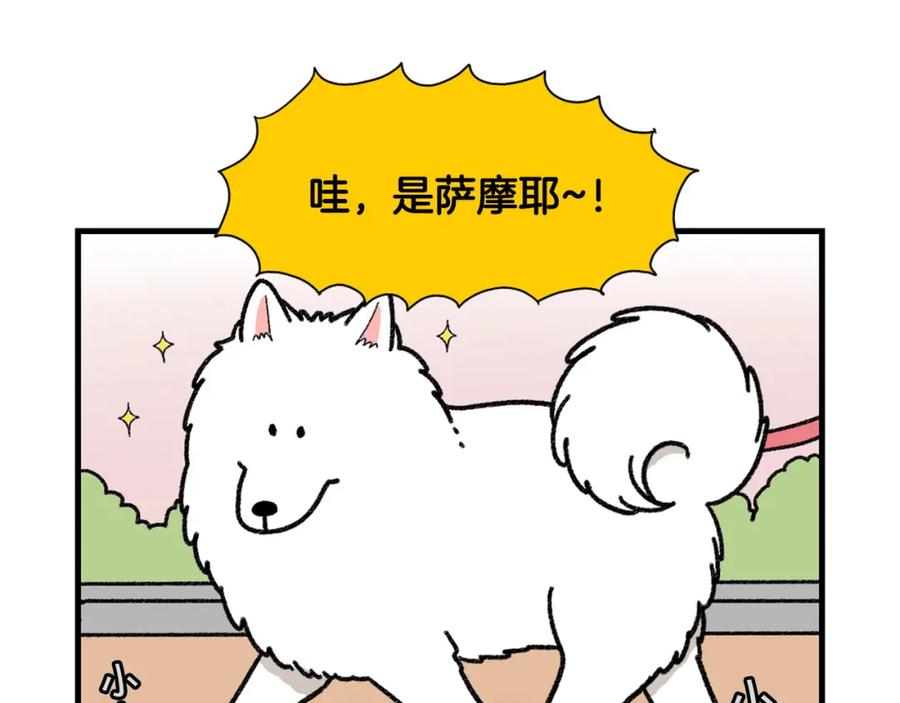 《我的狗子叫棉花》第48话 如有雷同，纯… 第18页