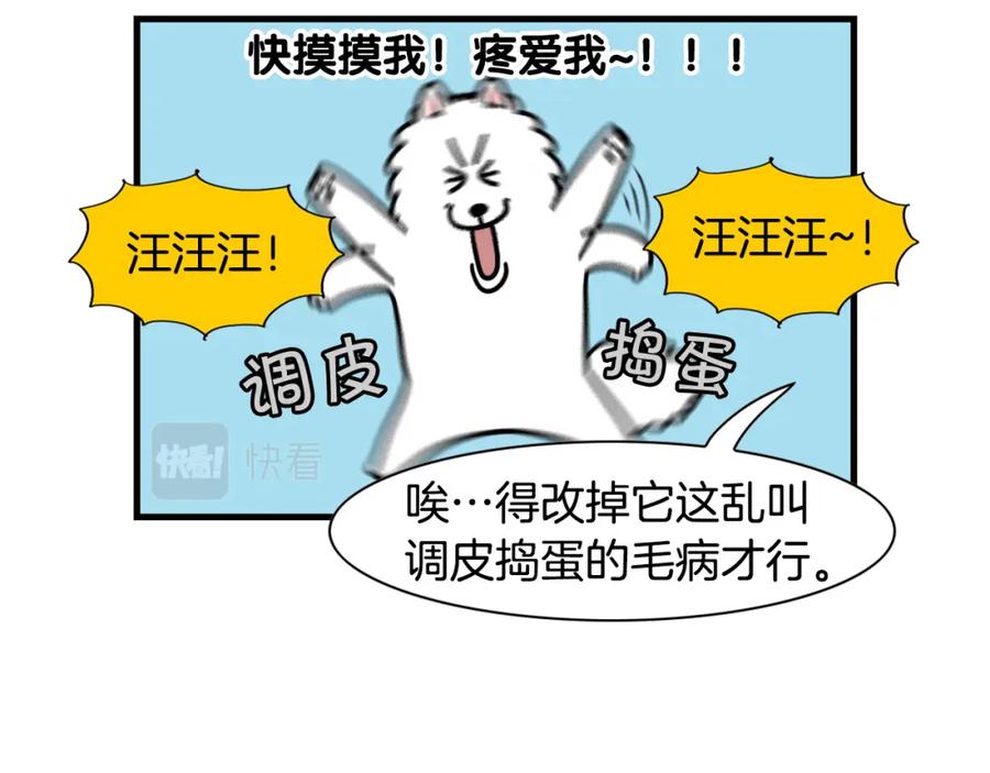 《我的狗子叫棉花》第49话 超有精力 第57页