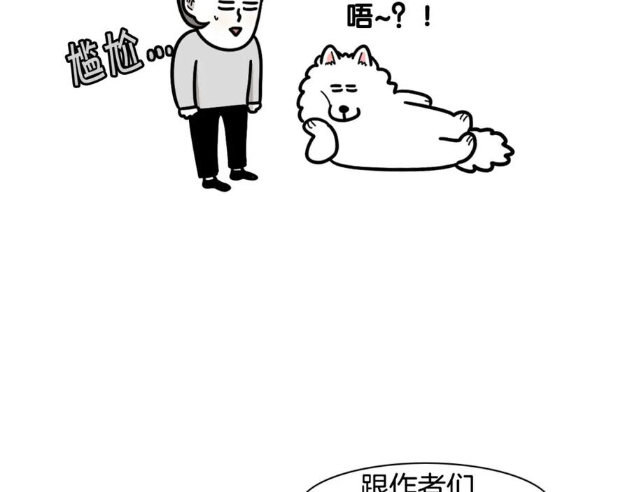 《我的狗子叫棉花》第49话 超有精力 第50页