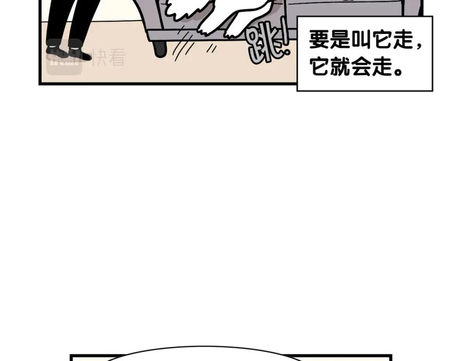 《我的狗子叫棉花》第49话 超有精力 第23页
