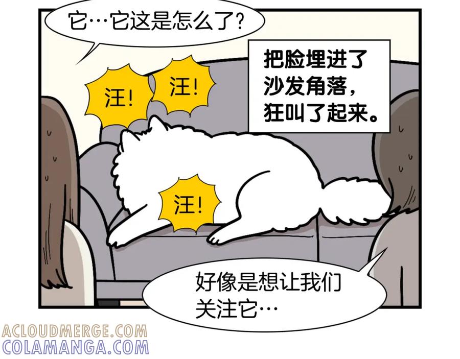 《我的狗子叫棉花》第49话 超有精力 第28页