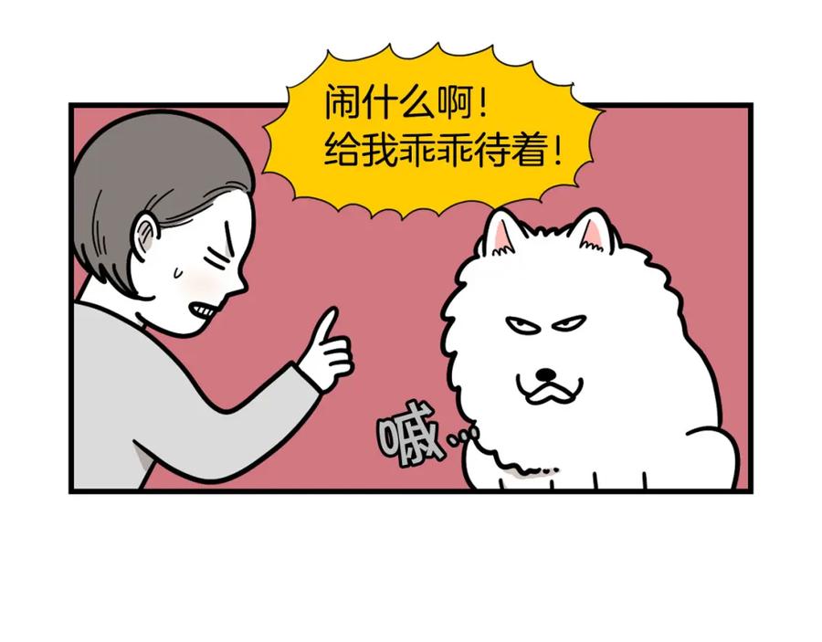 《我的狗子叫棉花》第49话 超有精力 第21页