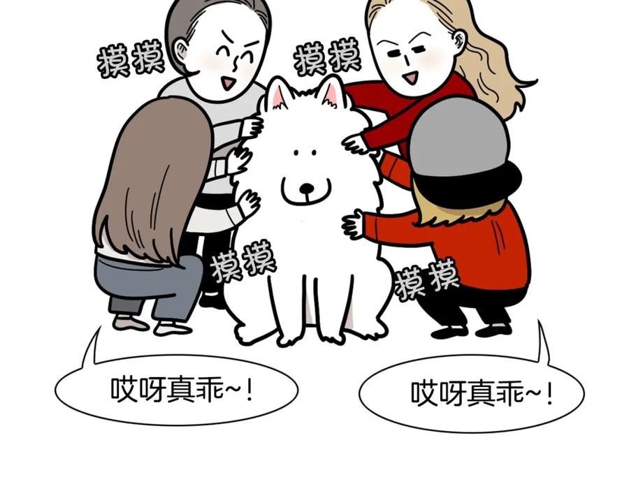 《我的狗子叫棉花》第49话 超有精力 第68页