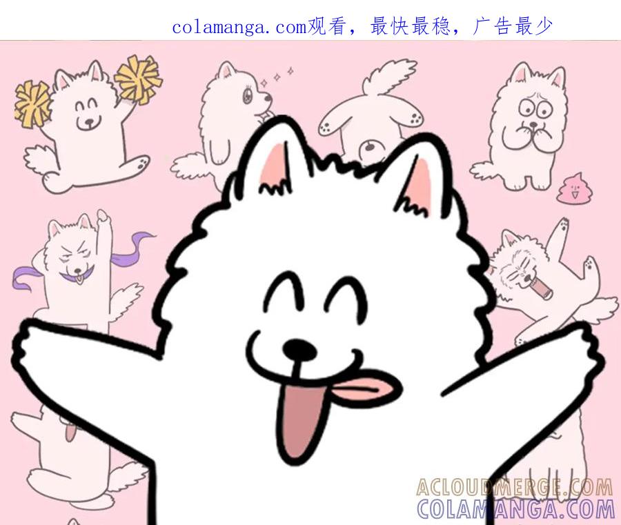 《我的狗子叫棉花》第49话 超有精力 第1页