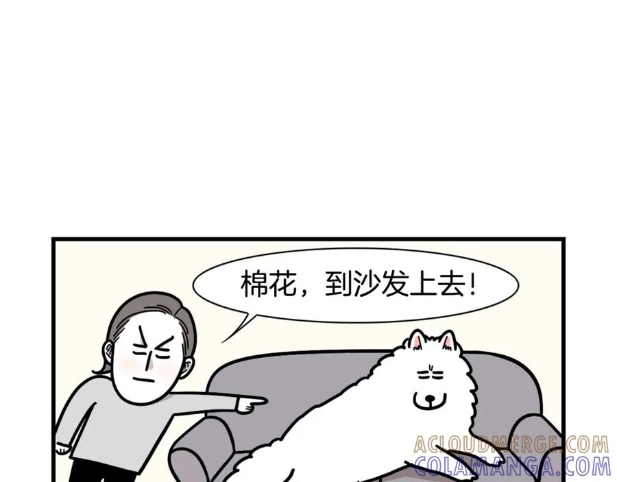 《我的狗子叫棉花》第49话 超有精力 第22页