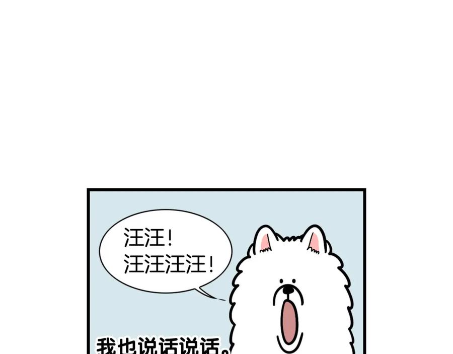 《我的狗子叫棉花》第49话 超有精力 第8页