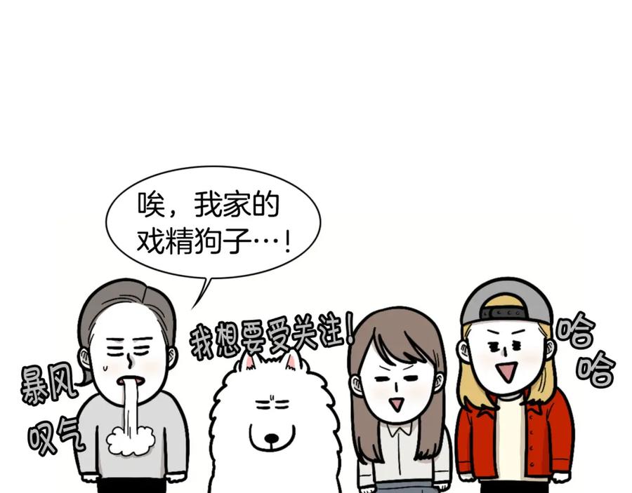 《我的狗子叫棉花》第49话 超有精力 第29页