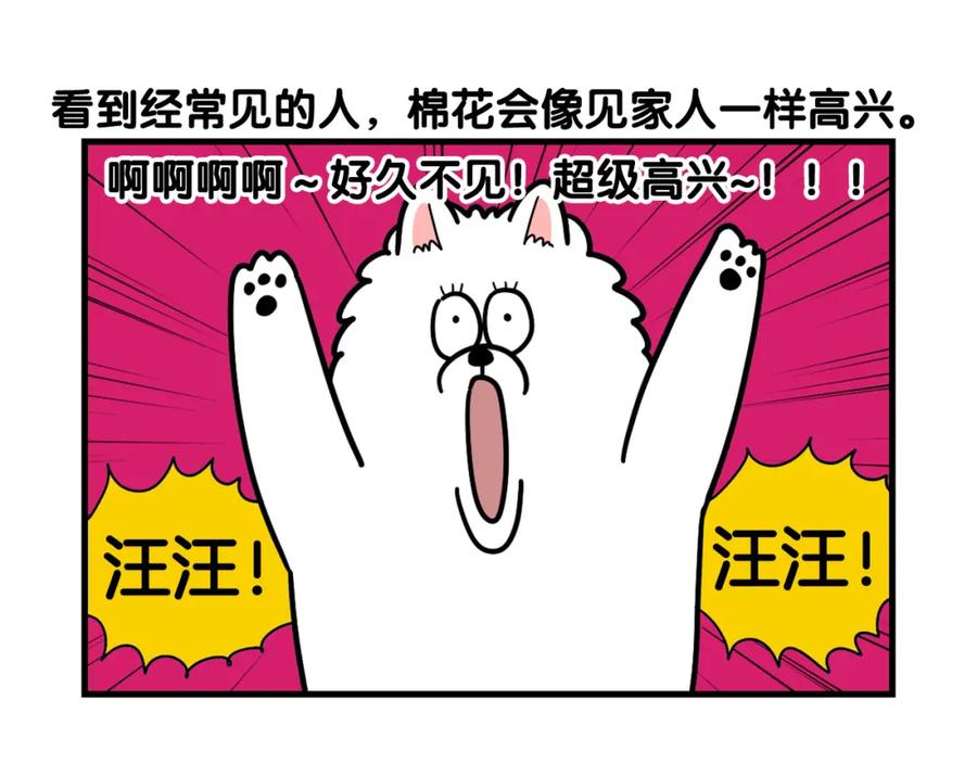 《我的狗子叫棉花》第49话 超有精力 第53页