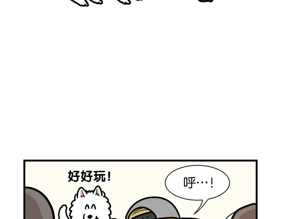 《我的狗子叫棉花》第49话 超有精力 第45页