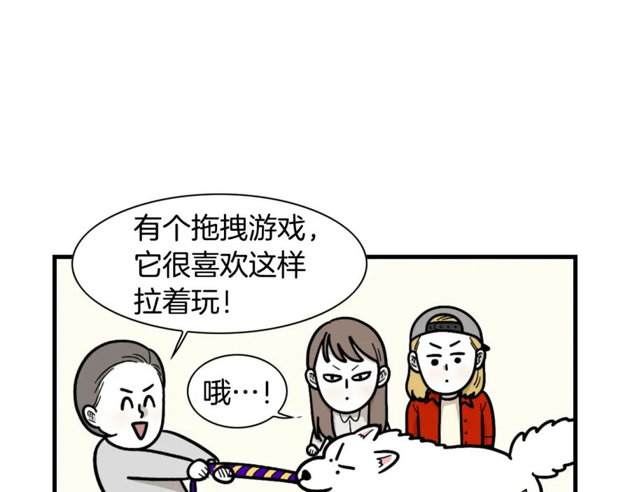 《我的狗子叫棉花》第49话 超有精力 第33页