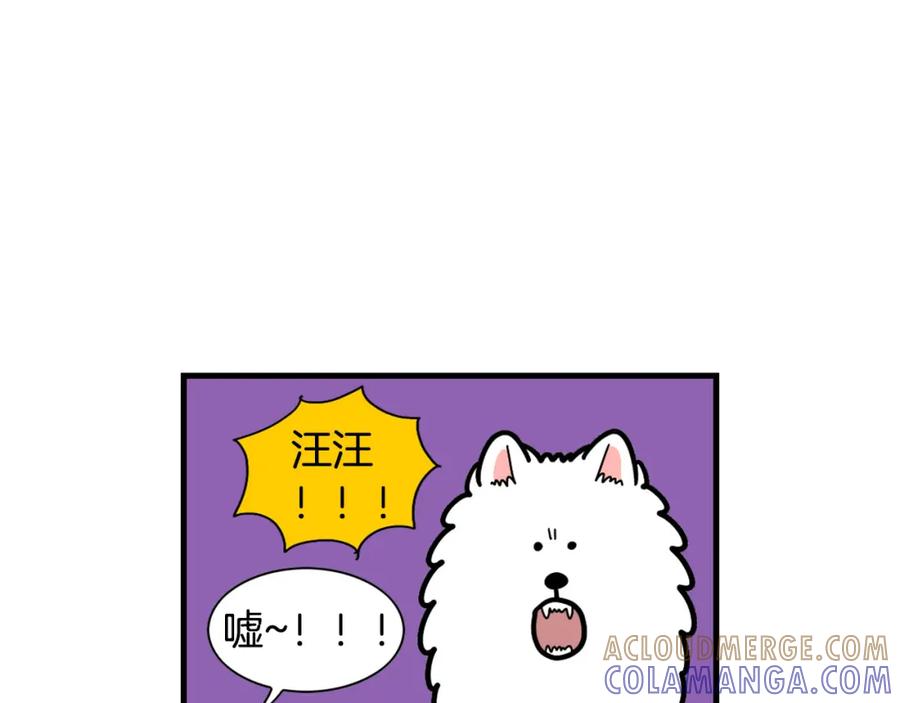 《我的狗子叫棉花》第49话 超有精力 第13页