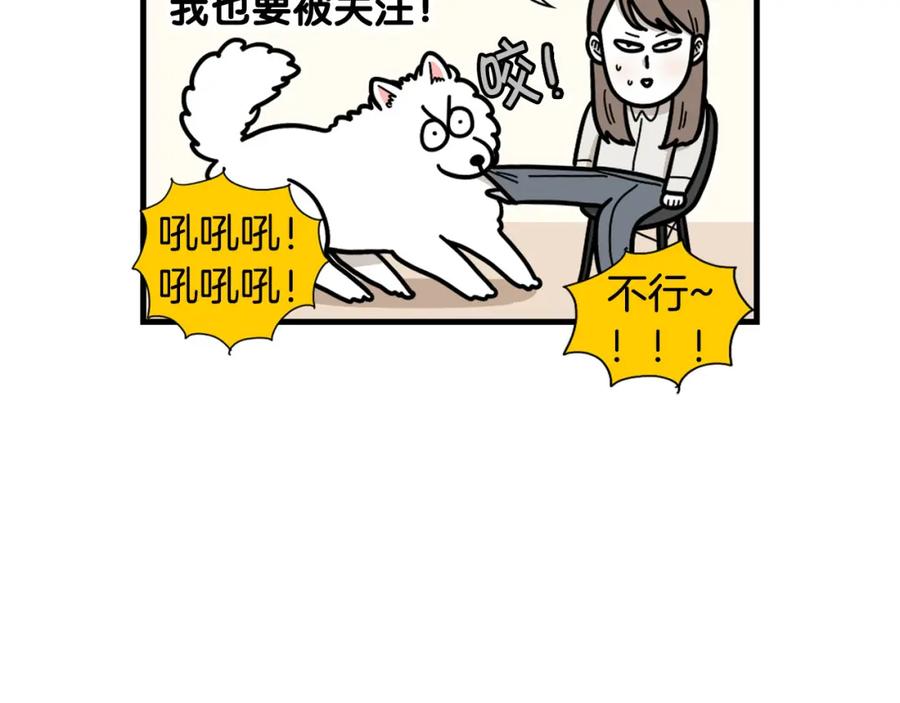 《我的狗子叫棉花》第49话 超有精力 第20页