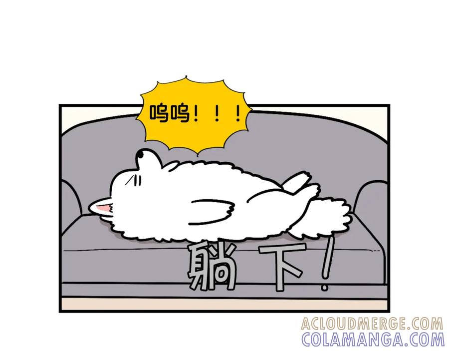 《我的狗子叫棉花》第49话 超有精力 第25页