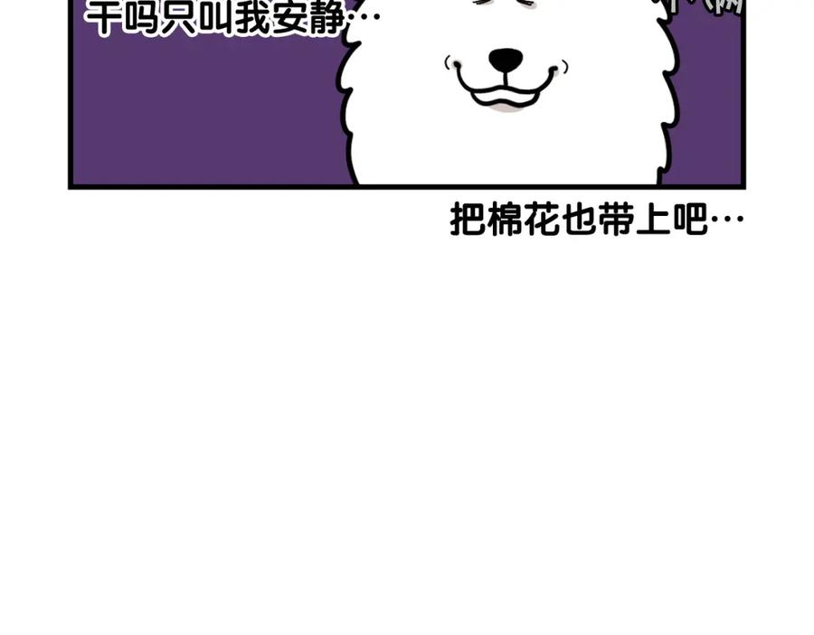 《我的狗子叫棉花》第49话 超有精力 第15页