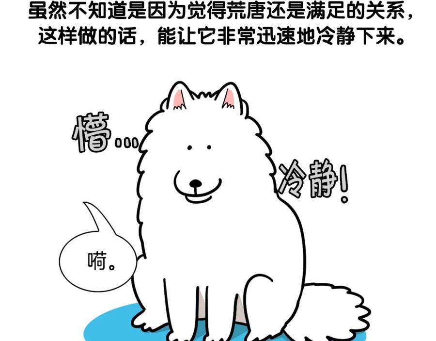 《我的狗子叫棉花》第49话 超有精力 第71页