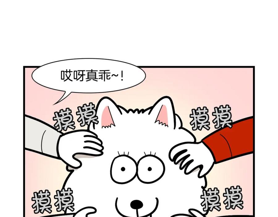 《我的狗子叫棉花》第49话 超有精力 第66页