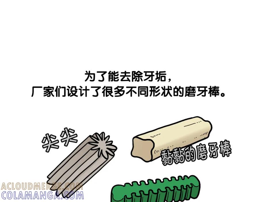 《我的狗子叫棉花》第50话 刷牙示范 第64页