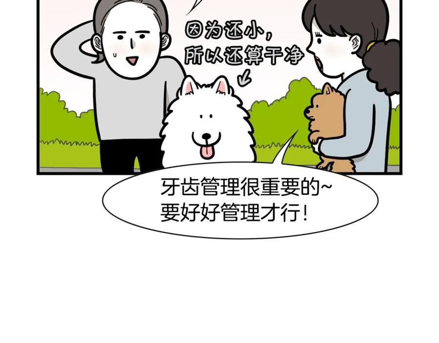 《我的狗子叫棉花》第50话 刷牙示范 第8页