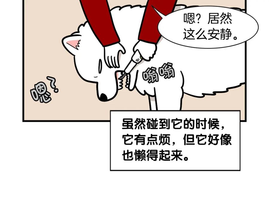 《我的狗子叫棉花》第50话 刷牙示范 第75页