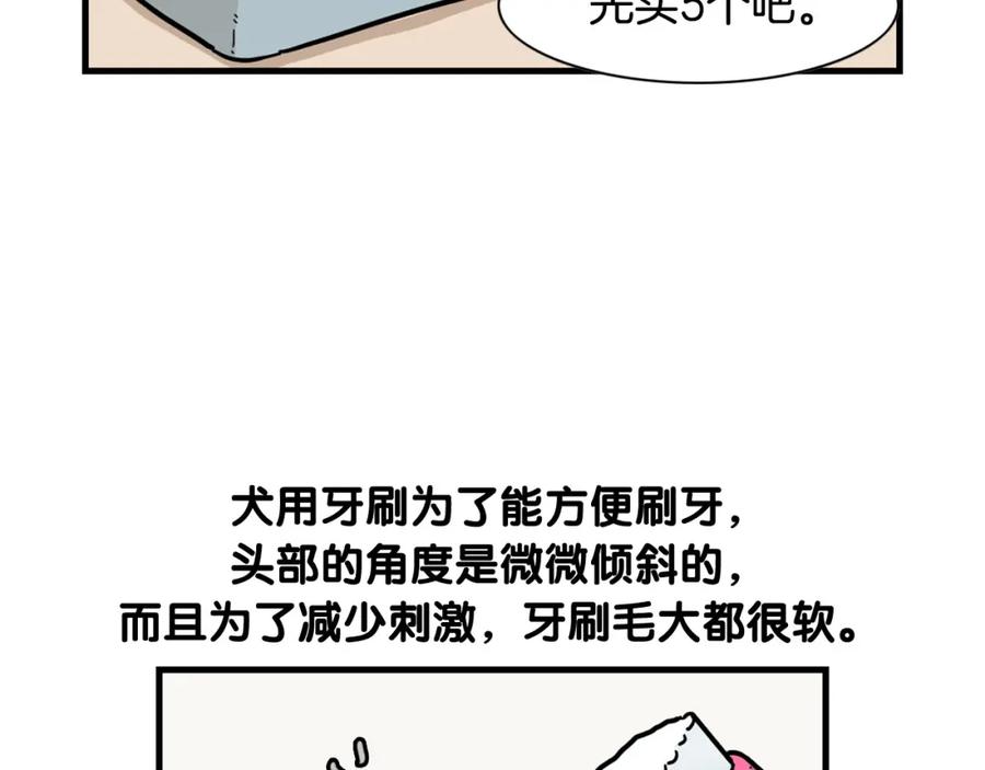 《我的狗子叫棉花》第50话 刷牙示范 第27页