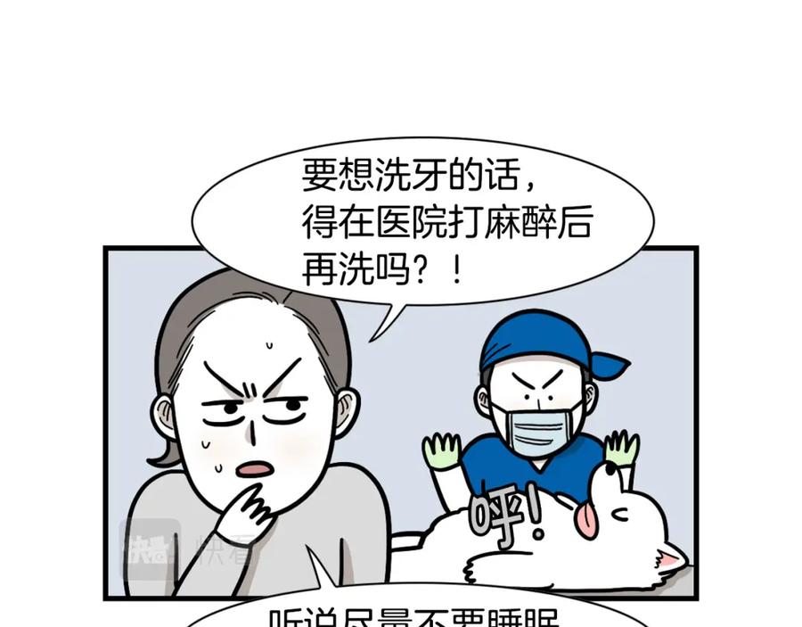 《我的狗子叫棉花》第50话 刷牙示范 第60页