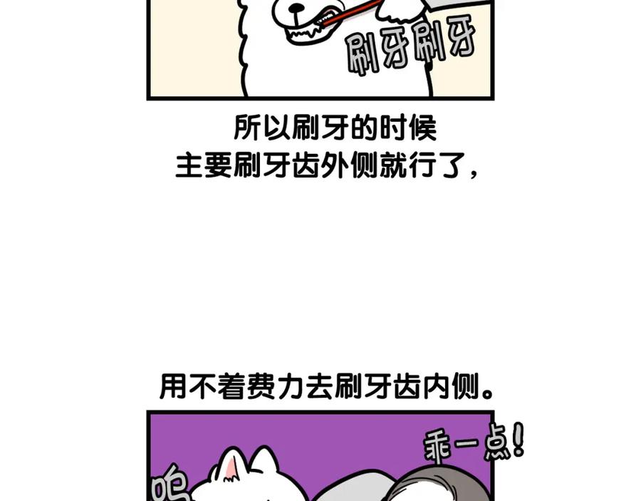 《我的狗子叫棉花》第50话 刷牙示范 第54页