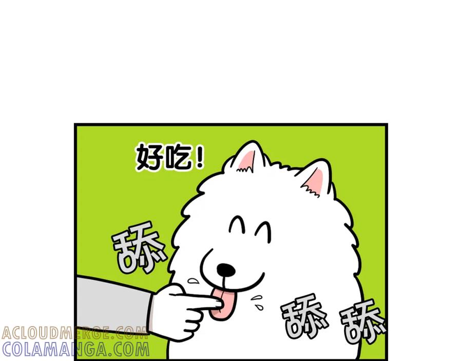 《我的狗子叫棉花》第50话 刷牙示范 第16页