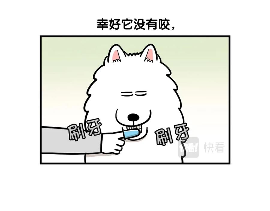 《我的狗子叫棉花》第50话 刷牙示范 第50页
