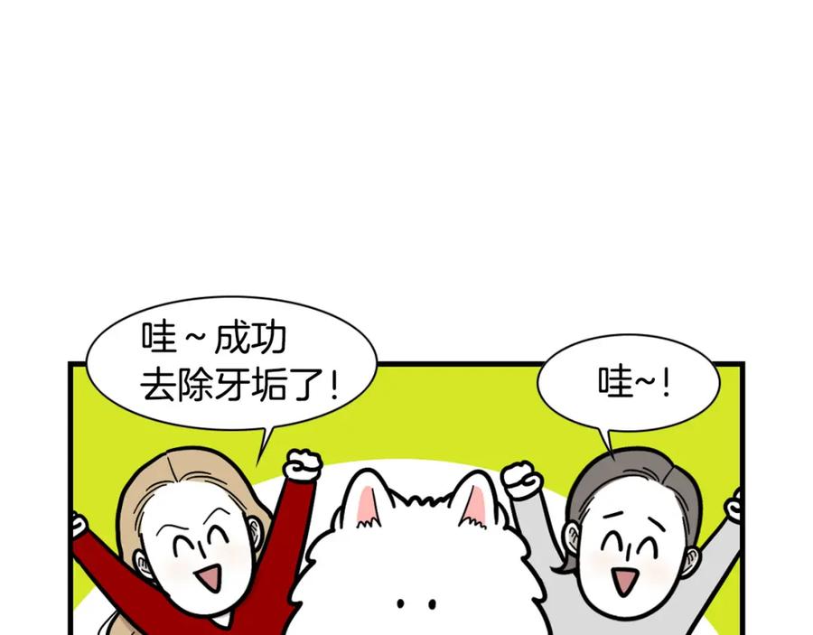 《我的狗子叫棉花》第50话 刷牙示范 第77页