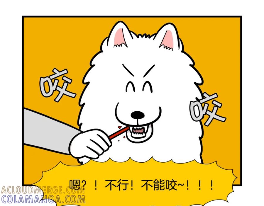 《我的狗子叫棉花》第50话 刷牙示范 第22页